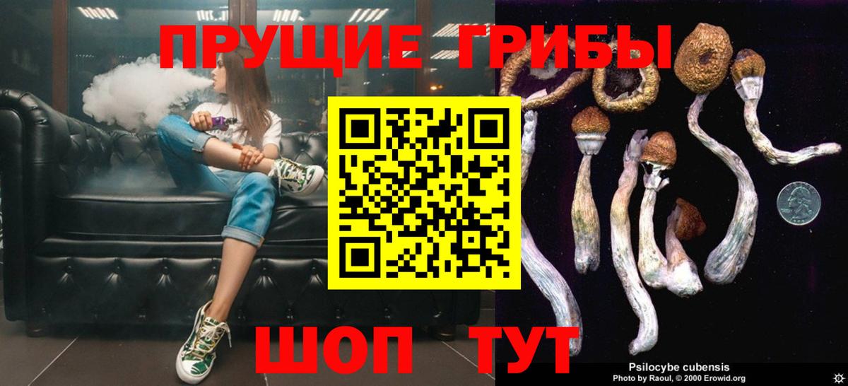 Галлюциногенные грибы Psilocybine cubensis Алапаевск
